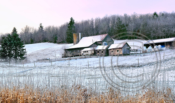 Frosted dawn